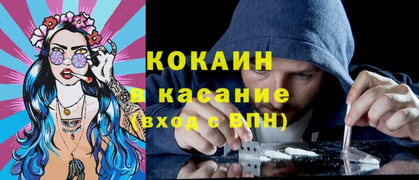 твердый Абаза