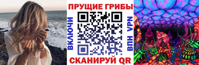 цены   ОМГ ОМГ ТОР  Псилоцибиновые грибы Psilocybe  Урус-Мартан 